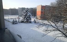 Mieszkanie w centrum